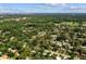 Extensive aerial view of residential area surrounded by beautiful mature trees at 7003 Yule Ln, Tampa, FL 33637