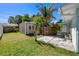 Backyard featuring a well-maintained lawn, storage shed, concrete patio, and tropical landscaping at 709 Pinewood Dr, Dunedin, FL 34698