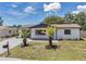 Inviting home with mature palm trees, a well-manicured lawn, and a stylish, updated facade at 8045 Colton Dr, Port Richey, FL 34668