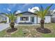 Charming single-story home featuring a vibrant blue door, fresh white paint, and two beautiful palm trees in the front yard at 8045 Colton Dr, Port Richey, FL 34668