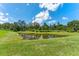 Backyard pond surrounded by mature trees, with lush grass leading to the water's edge at 8050 Praise Dr, Tampa, FL 33625