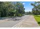Picturesque street view with mature trees lining the sides and a wide sidewalk for pedestrians at 8050 Praise Dr, Tampa, FL 33625