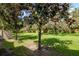 Expansive backyard featuring mature trees, a fence and lush green grass at 9317 Stone River Pl, Riverview, FL 33578