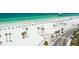 Breathtaking aerial view of the beach with palm trees and clear ocean waters at 960 Virginia St # 204, Dunedin, FL 34698