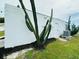 Exterior showcasing cacti landscaping against white siding at 3516 Norland Ct, Holiday, FL 34691