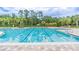 Community pool with lane dividers, mature trees, and well-maintained deck, perfect for swimming and relaxation at 20302 Noble Oak Pl, Tampa, FL 33647