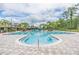 Resort-style pool features a beach-like zero entry, lap lanes, and ample room for recreation at 20302 Noble Oak Pl, Tampa, FL 33647
