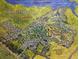 Community map showing Highland Lakes in Palm Harbor, Florida at 2270 Spruce Ln # B, Palm Harbor, FL 34684