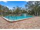 Community pool surrounded by lounge chairs, offering a relaxing oasis for residents at 2377 Hounds Trl, Palm Harbor, FL 34683