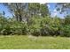 An up close backyard view with mature green shrubbery and lush grass extending to the property line at 26835 Juniper Bay Dr, Wesley Chapel, FL 33544