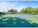 Well-maintained community tennis courts surrounded by lush greenery and a secure fence at 3325 Schefflera Rd, Tampa, FL 33618