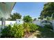 Lush backyard featuring green lawn, tropical landscaping, a privacy fence, and a shed with matching Adirondack chairs at 4718 24Th S Ave, St Petersburg, FL 33711