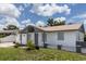 Charming single-story home featuring fresh exterior paint, manicured lawn, and great curb appeal at 4823 Ashland Dr, Tampa, FL 33610