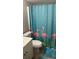 Bathroom with flamingo-themed shower curtain, toilet, and vanity at 5541 Bay Blvd # 303, Port Richey, FL 34668