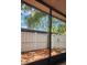A relaxing screened in back porch with a wooden fence and a palm tree visible at 7107 Hernando Ct, Tampa, FL 33615