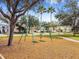 Community swingset surrounded by lush landscaping and trees at 10203 Shadow Branch Dr, Tampa, FL 33647