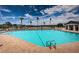 Large swimming pool with brick deck and palm trees, creating a tropical oasis at 1115 Ashbourne Cir, Trinity, FL 34655