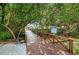 Beautiful tree lined walkway leading to waterfront access at 1324 Pasadena S Ave # 501, South Pasadena, FL 33707