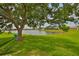 A scenic backyard pond view with lush green grass and a large shade tree at 13728 Artesa Bell Dr, Riverview, FL 33579