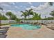 Backyard with a sparkling pool surrounded by palm trees, lounge chairs, and a hammock at 13728 Artesa Bell Dr, Riverview, FL 33579