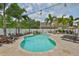 Sparkling pool surrounded by palm trees with outdoor chairs and a rock waterfall feature at 13728 Artesa Bell Dr, Riverview, FL 33579