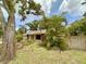 Charming home with mature landscaping, lush greenery, and a well-maintained lawn at 1548 Foxboro Dr, Palm Harbor, FL 34683