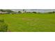 Well-manicured backyard with verdant lawn at 2417 Locksley St # 229, Sun City Center, FL 33573