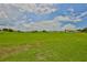 Expansive backyard with well-maintained green grass at 2417 Locksley St # 229, Sun City Center, FL 33573