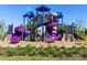 A fun-filled playground featuring colorful slides, climbing structures, and safe, soft ground cover for endless outdoor adventures at 33675 Elm Hill Br, Wesley Chapel, FL 33545