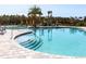 A luxurious pool offers a perfect spot for relaxation and recreation, complete with palm trees and comfortable lounge chairs at 33675 Elm Hill Br, Wesley Chapel, FL 33545