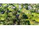 Aerial view of a large wooded lot with the home nestled among mature trees at 37113 Waldo Dr, Dade City, FL 33525
