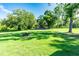 Large backyard with mature trees and plenty of space for recreation at 37113 Waldo Dr, Dade City, FL 33525
