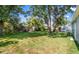 Spacious backyard with lush green grass, mature trees, and plenty of room for outdoor activities at 3907 W Walnut St, Tampa, FL 33607