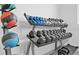 Variety of free weights and weighted exercise balls available in the community gym at 400 150Th Ave # 504, Madeira Beach, FL 33708