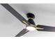 Close up of a modern ceiling fan with black blades and gold accents at 5618 Halifax Dr, Tampa, FL 33615