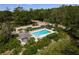 Community pool area showcasing a pristine pool, lounge chairs, shade umbrellas, and lush tropical surroundings at 60 Birdsong Ct, Oldsmar, FL 34677