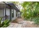 Home exterior with wood siding, dark trim, and a paver pathway surrounded by mature trees and tropical landscaping at 60 Birdsong Ct, Oldsmar, FL 34677
