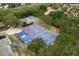 Aerial view of pickleball and tennis courts, featuring shades and lush landscaping at 60 Birdsong Ct, Oldsmar, FL 34677