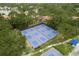 Aerial view of community pickleball courts surrounded by lush greenery, providing ample space for recreation at 60 Birdsong Ct, Oldsmar, FL 34677