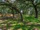 Lush backyard features mature trees, creating a serene and private outdoor space at 7427 20Th St, Zephyrhills, FL 33540