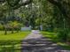 Long driveway leading to a gated property entrance, lined with palm trees and lush greenery at 7427 20Th St, Zephyrhills, FL 33540