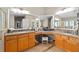Bathroom featuring dual sinks, vanity area, and lots of storage at 9206 Brindlewood Dr, Odessa, FL 33556