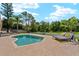 Backyard pool with a stone paver patio, chaise lounges, and tropical landscaping at 9206 Brindlewood Dr, Odessa, FL 33556