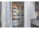 Pantry showcasing wire shelving and organized storage space for kitchen essentials at 9672 Ivory Dr, Ruskin, FL 33573