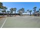 Outdoor community basketball court surrounded by mature palm trees, a lake view, and fencing at 9814 Quadrangle Ct, Sun City Center, FL 33573