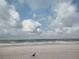 Picturesque beach scene with cloudy skies, calm ocean waters, and sandy shorelines at 1006 Tropical Dr, Bradenton, FL 34208