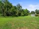 Expansive backyard with lush green grass and mature trees, offering privacy and ample space at 1015 Hastings Ct, Lutz, FL 33548