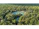 Scenic aerial view of a natural spring surrounded by lush green trees and vegetation at 15405 Woodstar Landing Ct, Lithia, FL 33547