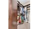A well-organized walk-in closet with shelves and hanging storage at 15405 Woodstar Landing Ct, Lithia, FL 33547