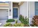Charming home exterior with a blue front door, landscaped walkway, and attached garage at 17651 Bright Wheat Dr, Lithia, FL 33547